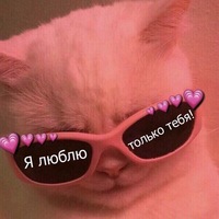 Андрей Золотухин