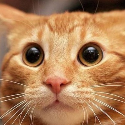 Шамиль Муртазин