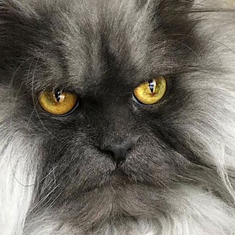 Саша Iвасюк